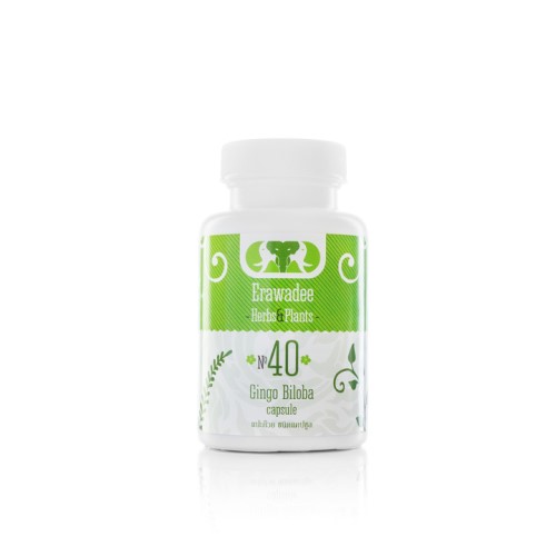 N40 Средство для Сосудов Головного Мозга Ginkgo Biloba (Erawadee)