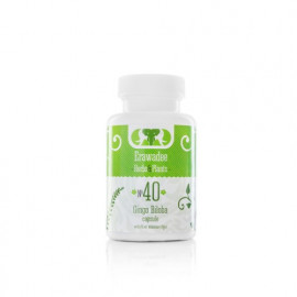 N40 Средство для Сосудов Головного Мозга Ginkgo Biloba (Erawadee)